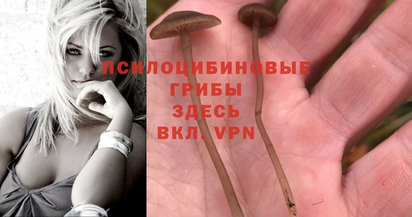 героин Алексин