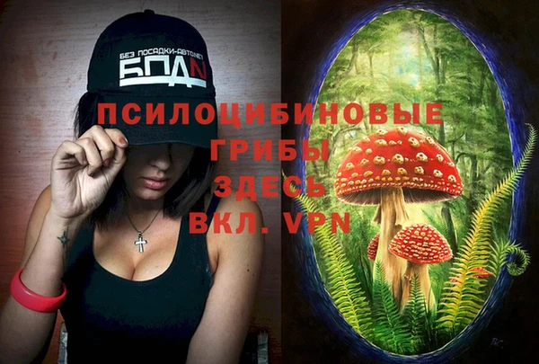2c-b Алексеевка