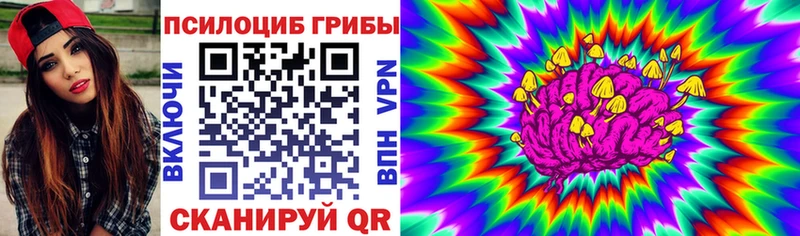 KRAKEN зеркало  Киржач  Галлюциногенные грибы MAGIC MUSHROOMS  купить закладку 